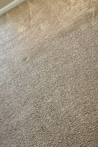 Area Rug Cleaning in Spencerville 2 Assurance carpet Care CC1