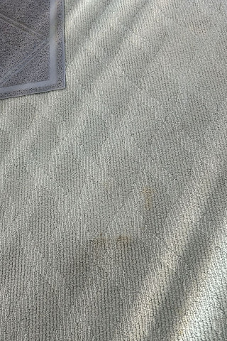 room-02 Assurance carpet Care CC4
