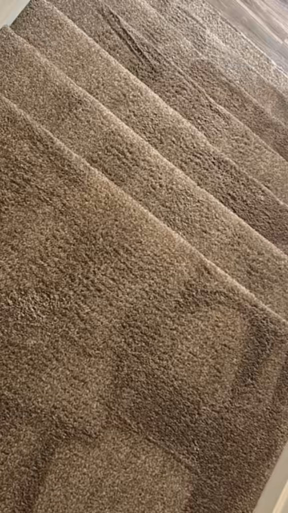 Assurance carpet Care CC5
