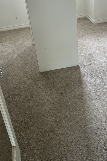 Assurance carpet Care Carpet Cleaning
